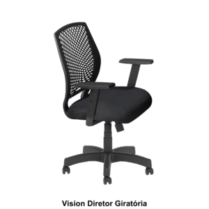 Vision