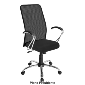 Cadeiras Pleno